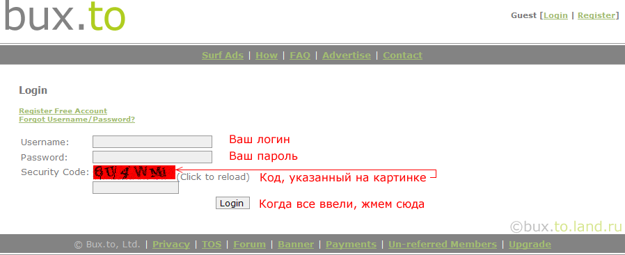 логин bux.to